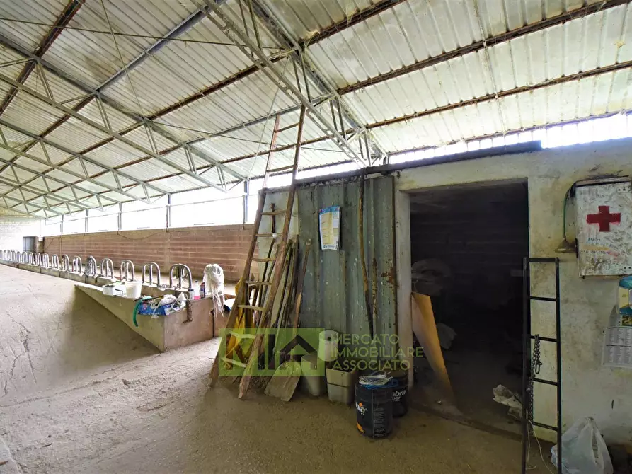 Immagine 22 di Rustico / casale in vendita  in Località Villa Caccianebbia a Amandola