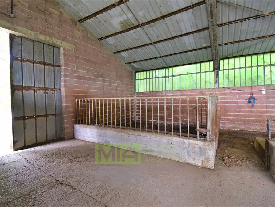 Immagine 20 di Rustico / casale in vendita  in Località Villa Caccianebbia a Amandola