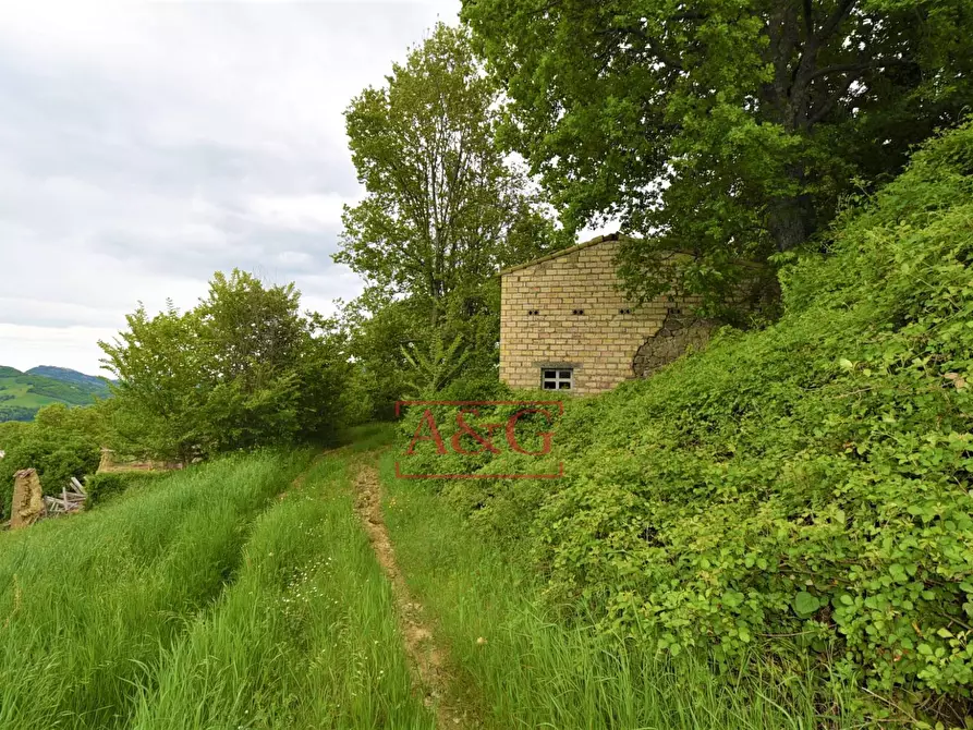 Immagine 26 di Rustico / casale in vendita  in Località Villa Caccianebbia a Amandola