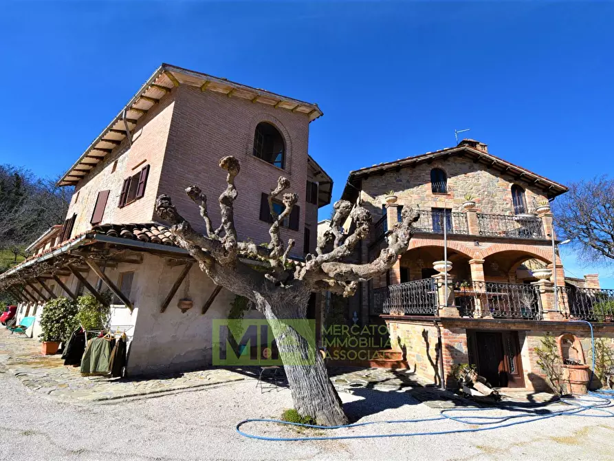 Immagine 5 di Villa in vendita  in contrada Pretattoni a Montefortino