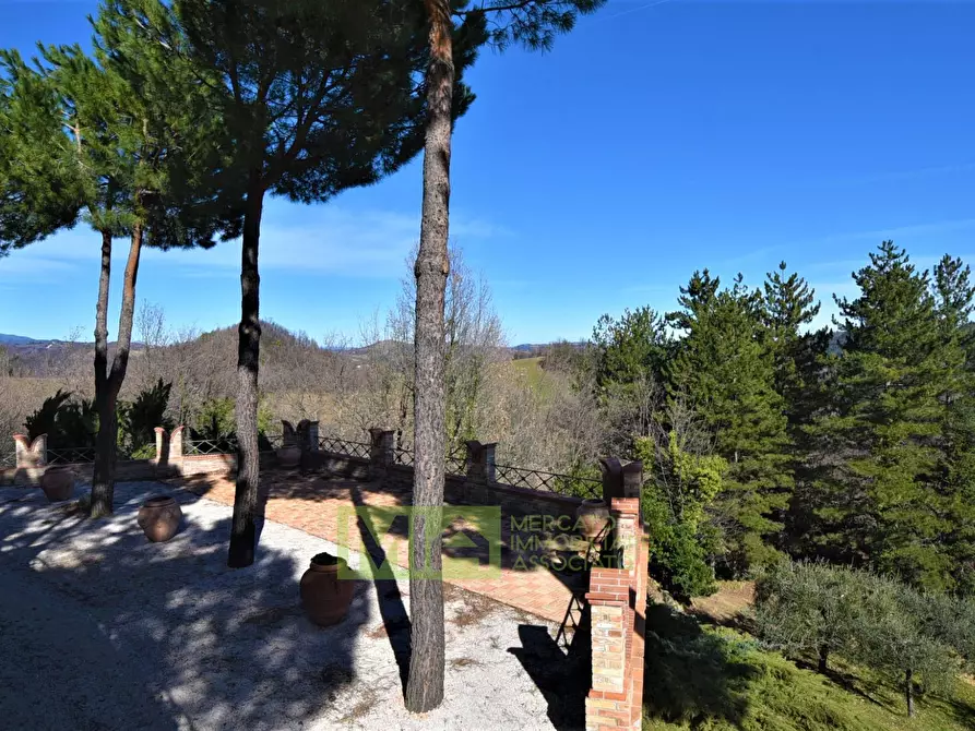 Immagine 16 di Villa in vendita  in contrada Pretattoni a Montefortino