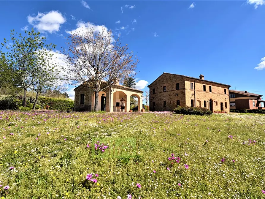 Immagine 9 di Rustico / casale in vendita  in via Belvedere a Gualdo