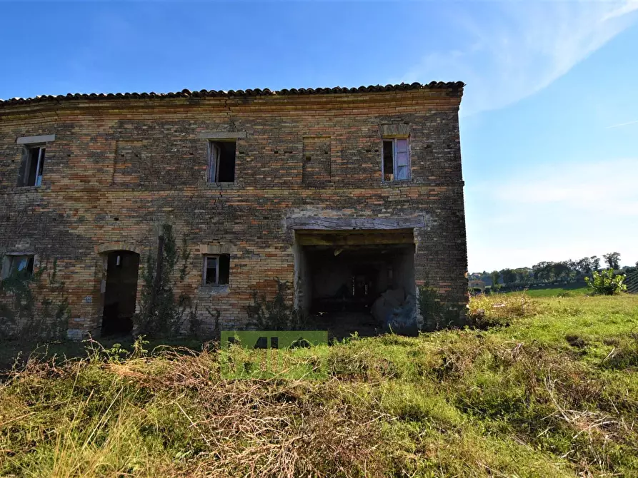 Immagine 4 di Rustico / casale in vendita  in Contrada Casale a Mogliano