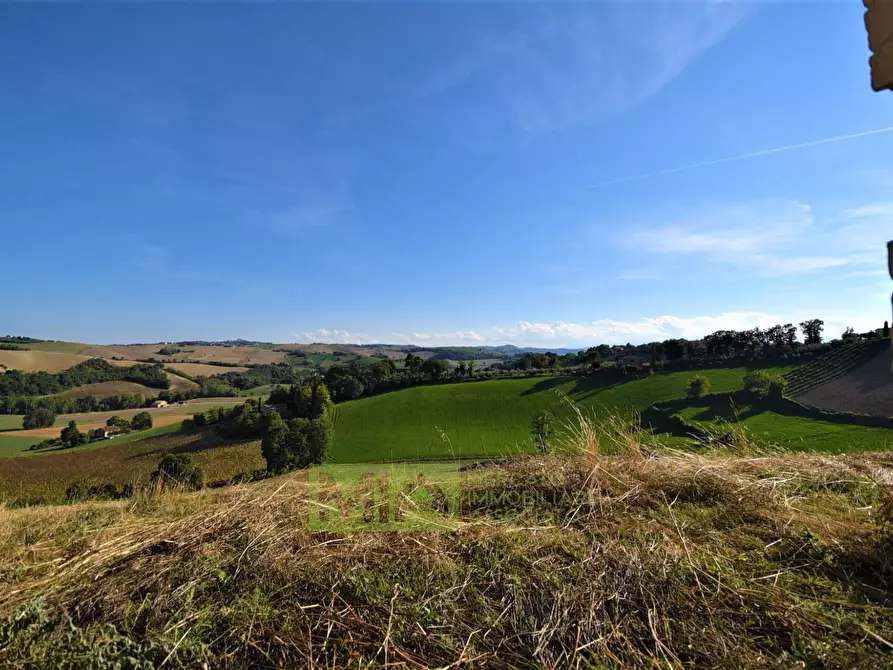 Immagine 13 di Rustico / casale in vendita  in Contrada Casale a Mogliano