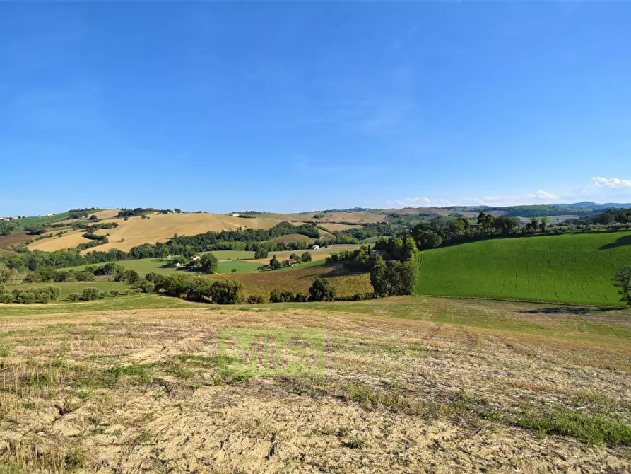 Immagine 14 di Rustico / casale in vendita  in Contrada Casale a Mogliano