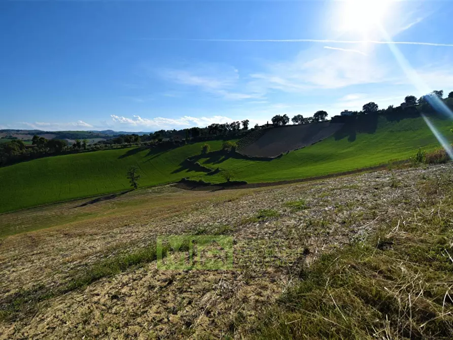Immagine 15 di Rustico / casale in vendita  in Contrada Casale a Mogliano