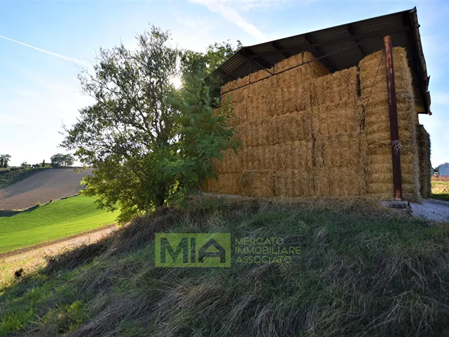 Immagine 5 di Rustico / casale in vendita  in Contrada Casale a Mogliano