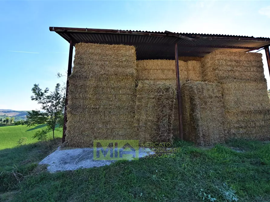 Immagine 17 di Rustico / casale in vendita  in Contrada Casale a Mogliano