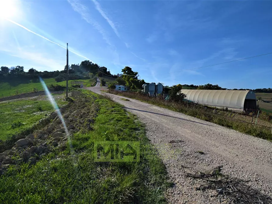 Immagine 18 di Rustico / casale in vendita  in Contrada Casale a Mogliano