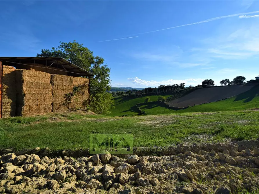 Immagine 19 di Rustico / casale in vendita  in Contrada Casale a Mogliano