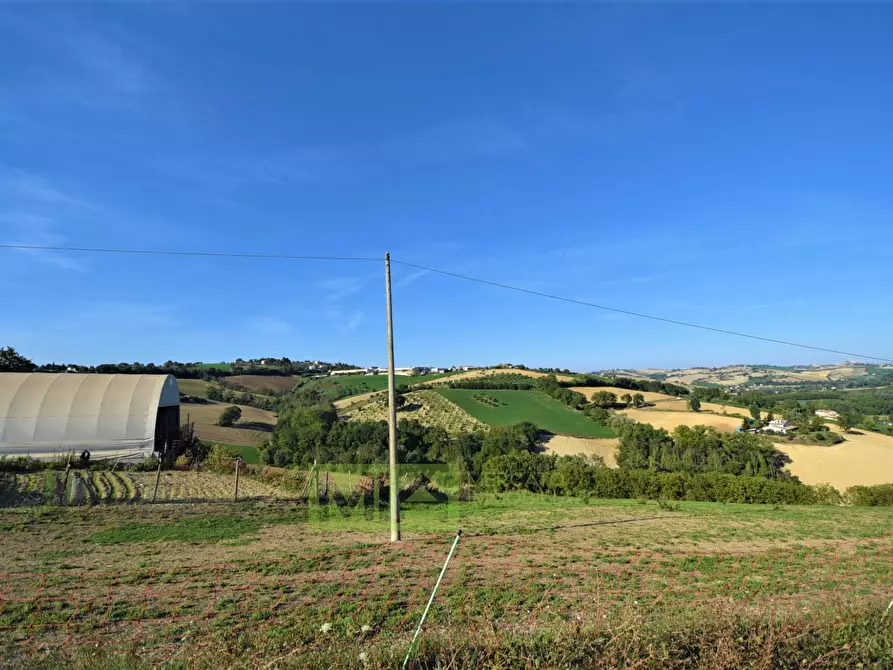 Immagine 22 di Rustico / casale in vendita  in Contrada Casale a Mogliano