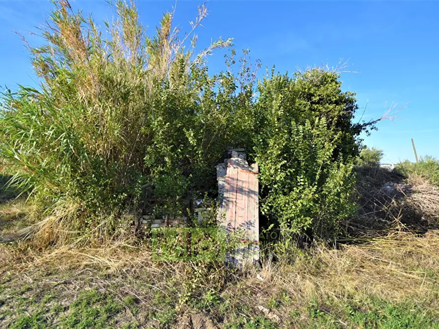 Immagine 23 di Rustico / casale in vendita  in Contrada Casale a Mogliano