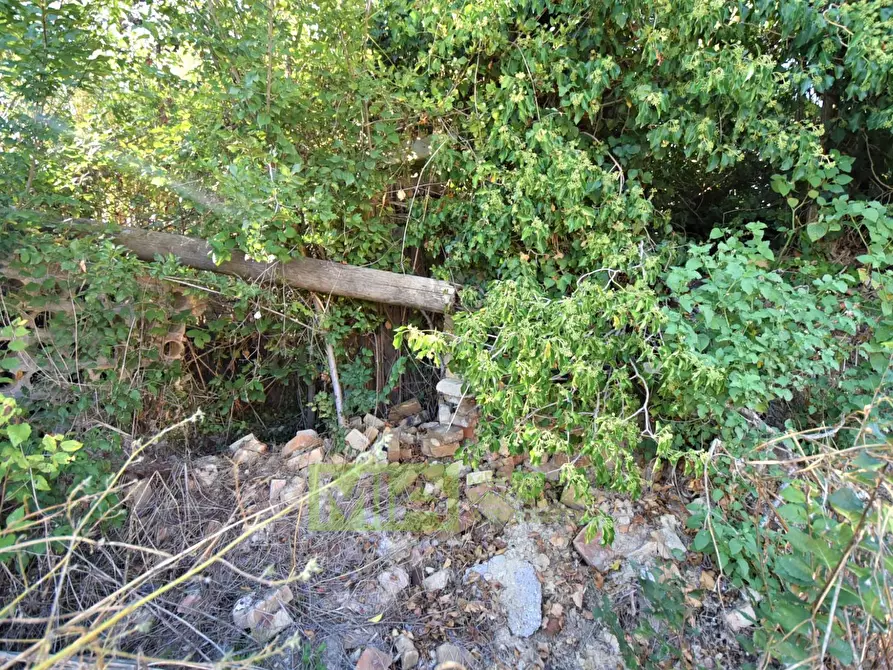 Immagine 24 di Rustico / casale in vendita  in Contrada Casale a Mogliano