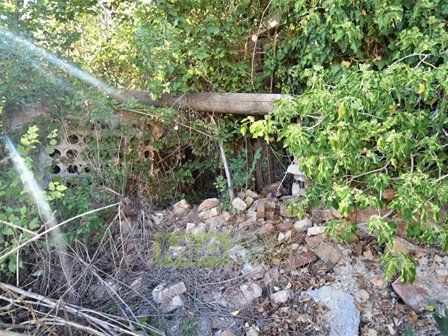 Immagine 25 di Rustico / casale in vendita  in Contrada Casale a Mogliano