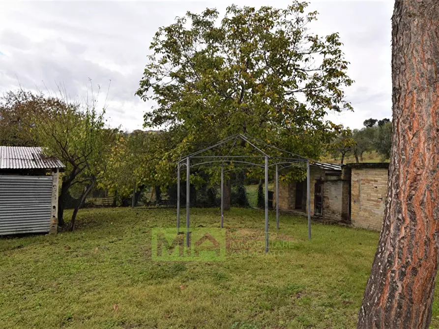 Immagine 3 di Rustico / casale in vendita  in Via Pozzo a Falerone