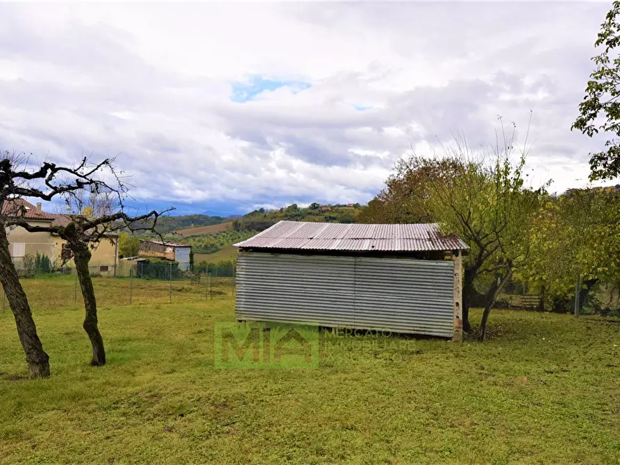 Immagine 4 di Rustico / casale in vendita  in Via Pozzo a Falerone