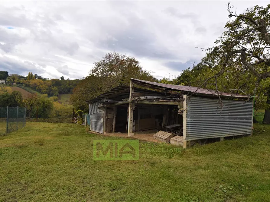 Immagine 5 di Rustico / casale in vendita  in Via Pozzo a Falerone