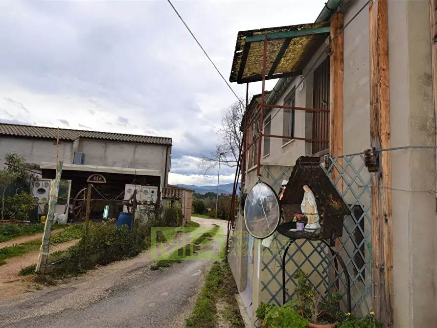 Immagine 9 di Rustico / casale in vendita  in Via Pozzo a Falerone