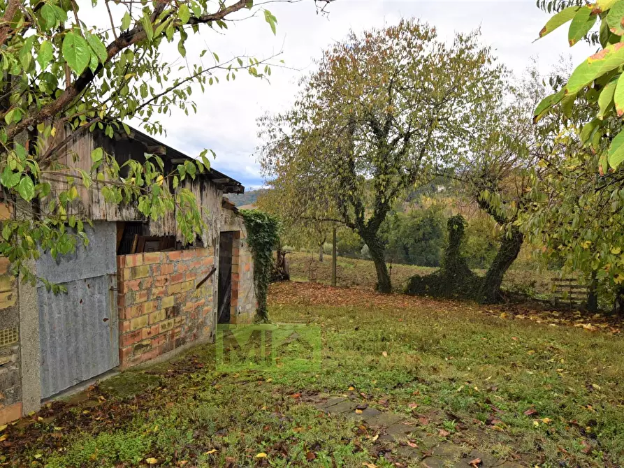 Immagine 14 di Rustico / casale in vendita  in Via Pozzo a Falerone