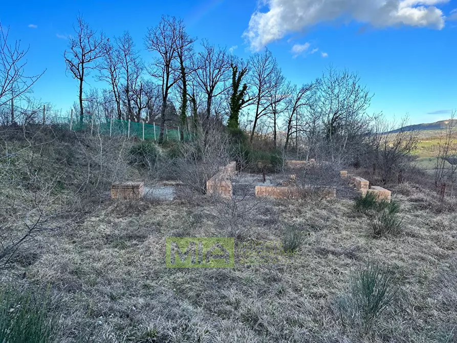 Immagine 6 di Terreno agricolo in vendita  in località caccianebbia a Amandola
