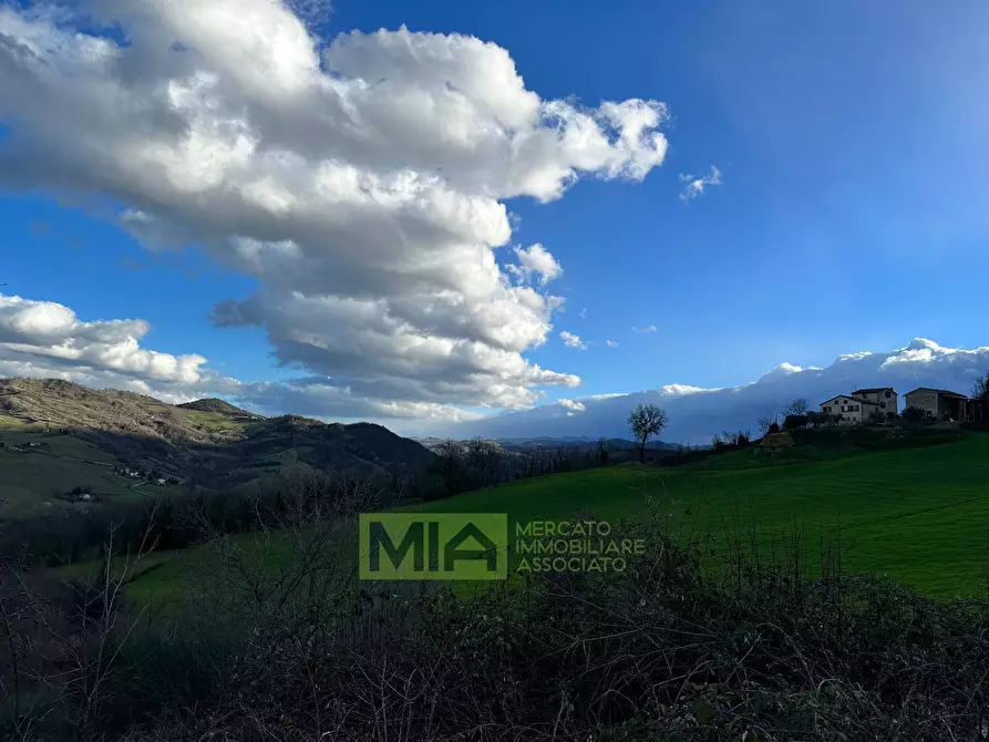 Immagine 10 di Terreno agricolo in vendita  in località caccianebbia a Amandola