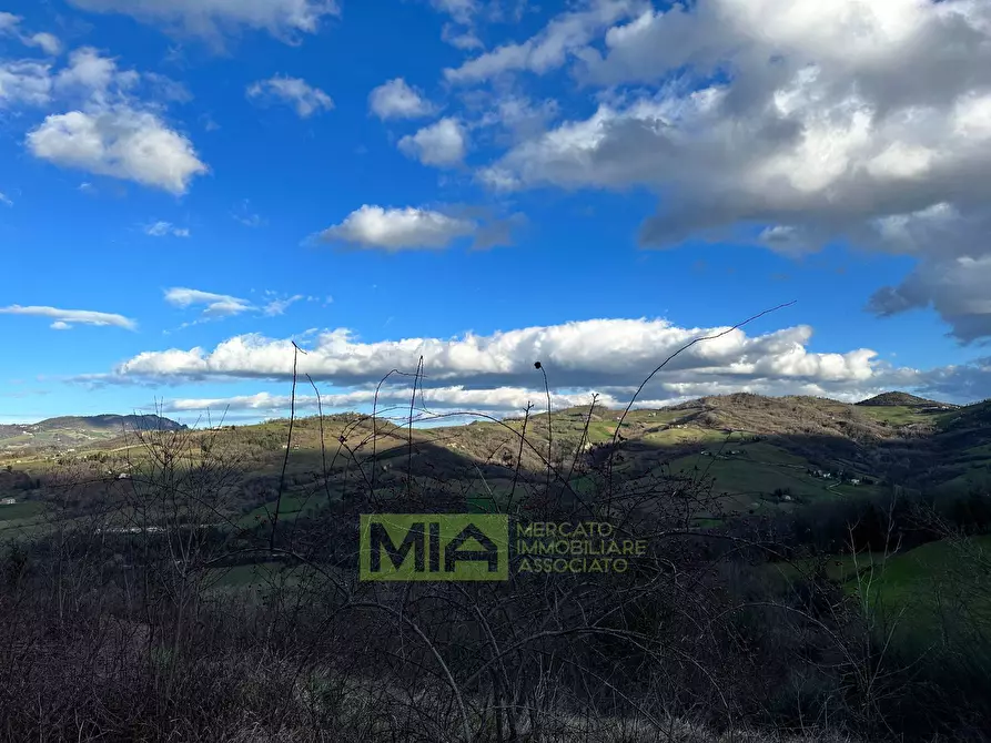 Immagine 11 di Terreno agricolo in vendita  in località caccianebbia a Amandola