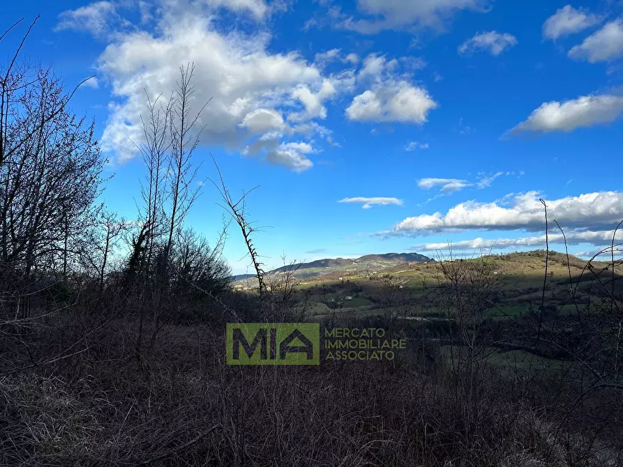 Immagine 12 di Terreno agricolo in vendita  in località caccianebbia a Amandola