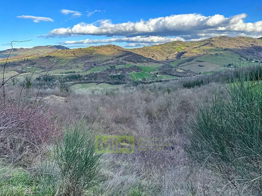 Immagine 7 di Terreno agricolo in vendita  in località caccianebbia a Amandola