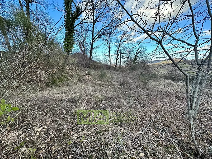 Immagine 8 di Terreno agricolo in vendita  in località caccianebbia a Amandola