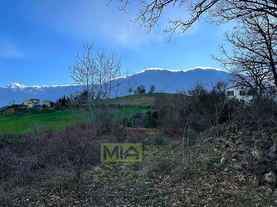 Immagine 13 di Terreno agricolo in vendita  in località caccianebbia a Amandola
