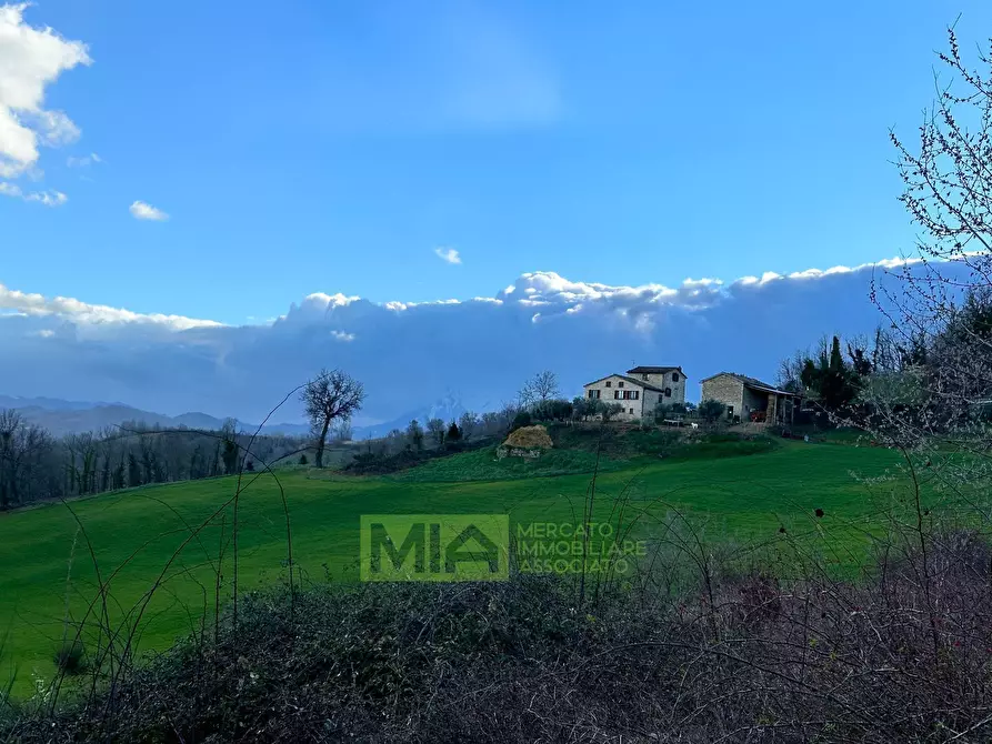 Immagine 14 di Terreno agricolo in vendita  in località caccianebbia a Amandola