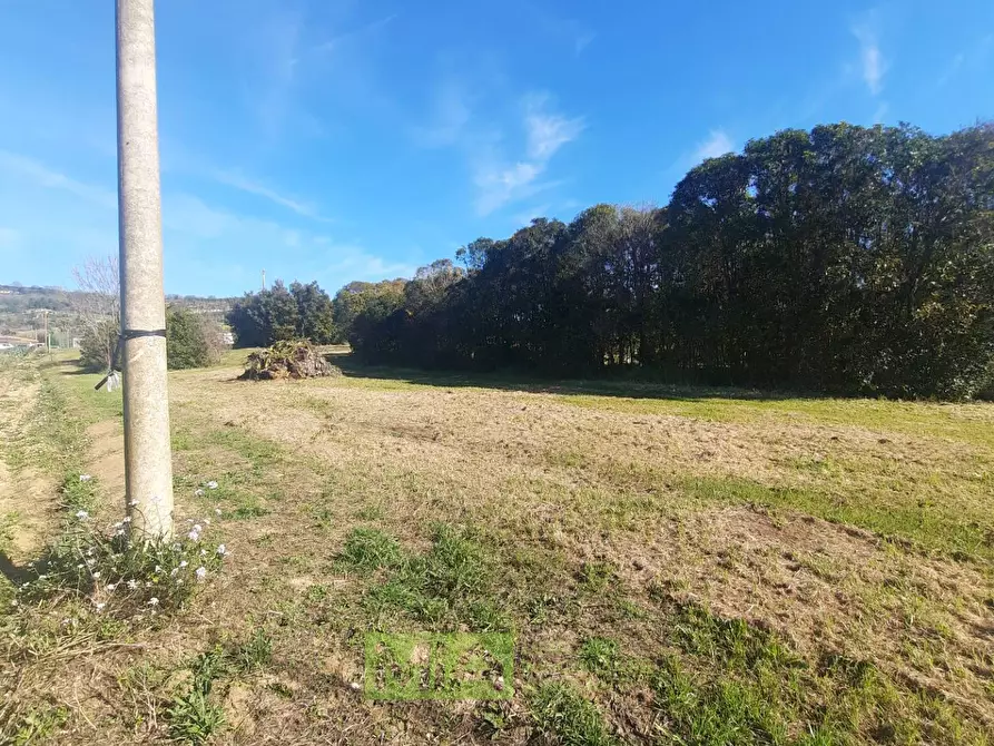 Immagine 3 di Terreno residenziale in vendita  in c.da Carbuccio a Altidona
