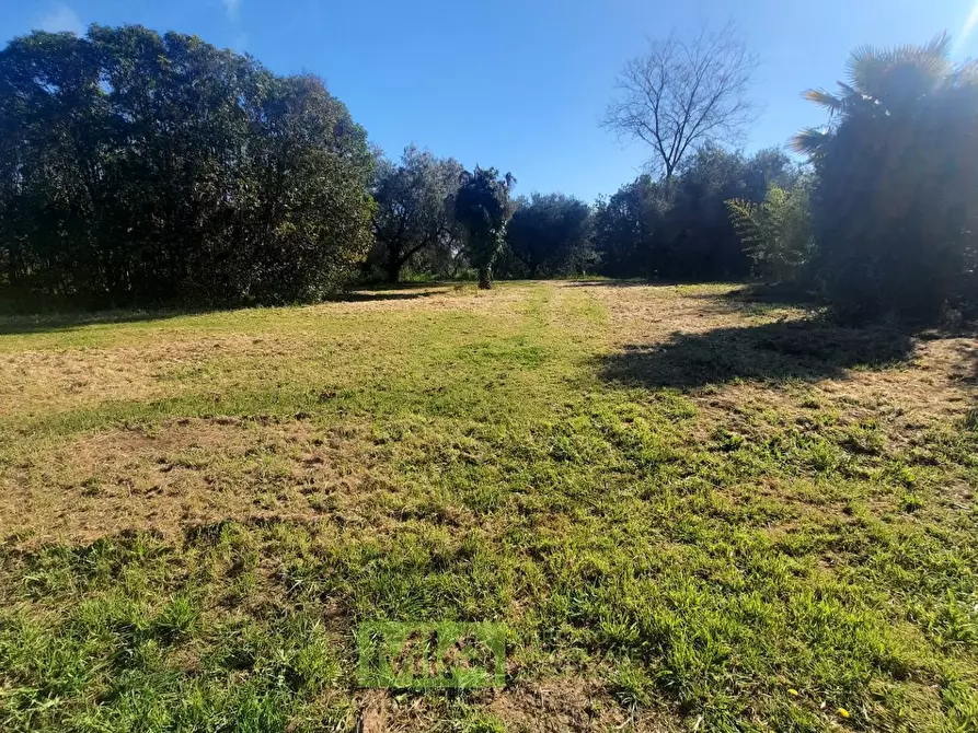 Immagine 4 di Terreno residenziale in vendita  in c.da Carbuccio a Altidona