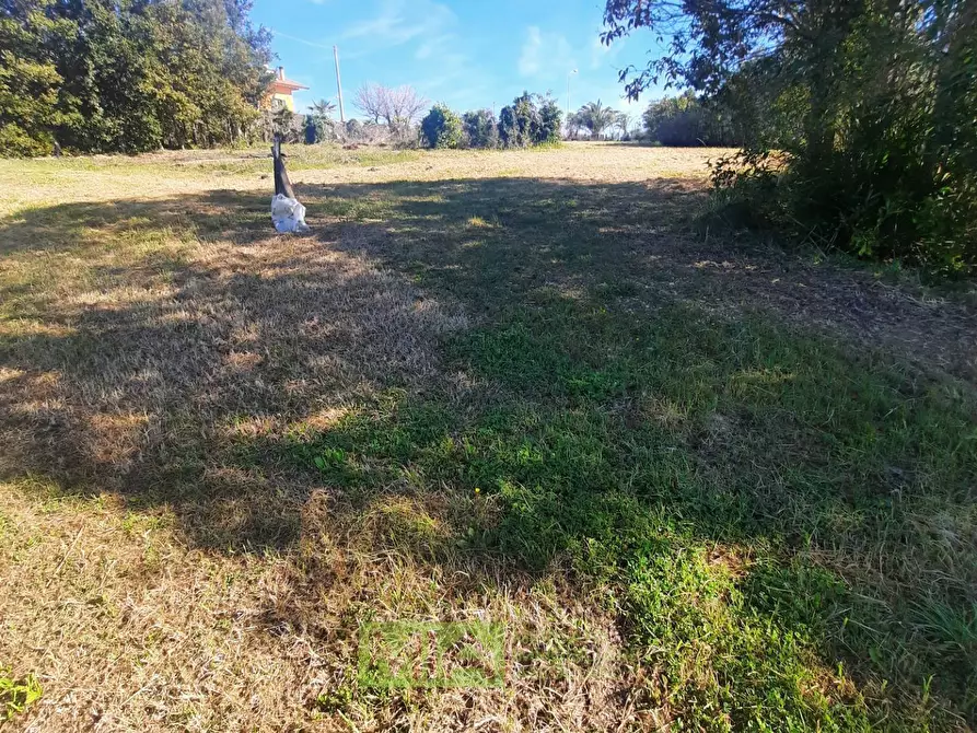 Immagine 5 di Terreno residenziale in vendita  in c.da Carbuccio a Altidona