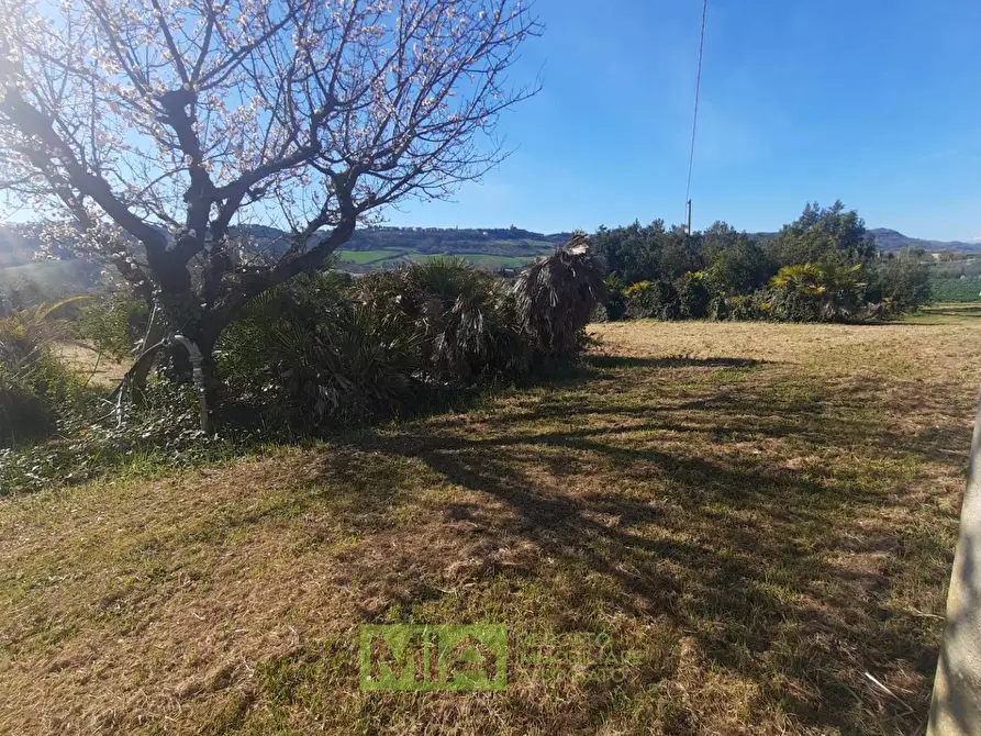 Immagine 10 di Terreno residenziale in vendita  in c.da Carbuccio a Altidona