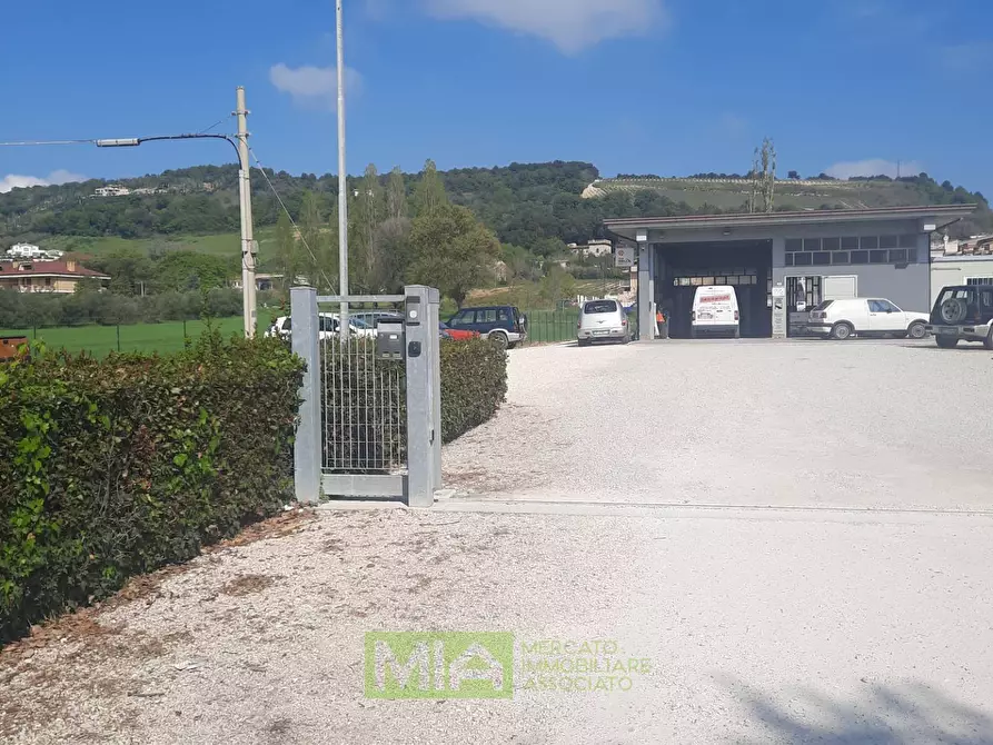 Immagine 7 di Laboratorio in vendita  in c.da Carbuccio a Altidona