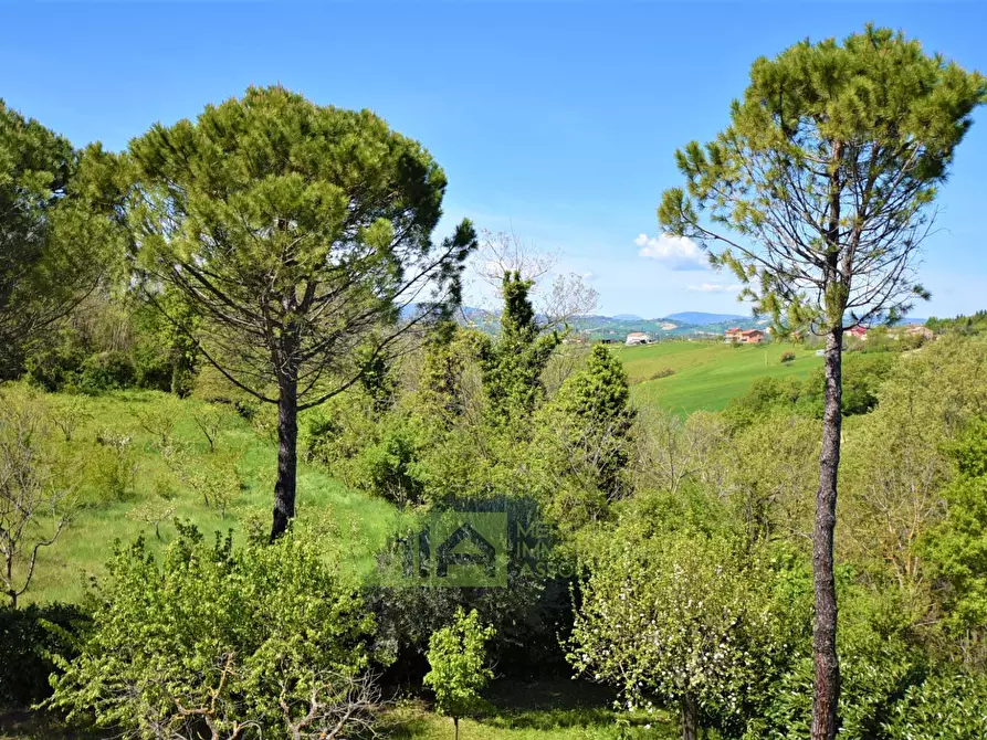 Immagine 28 di Villa in vendita  in Via Della Pace a Falerone