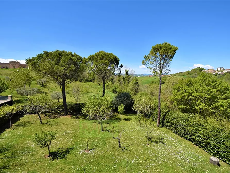 Immagine 29 di Villa in vendita  in Via Della Pace a Falerone