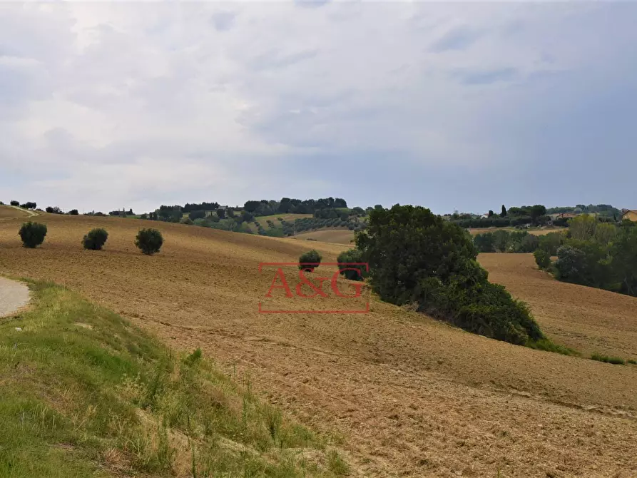 Immagine 13 di Rustico / casale in vendita  in Contrada Campiglione a Fermo