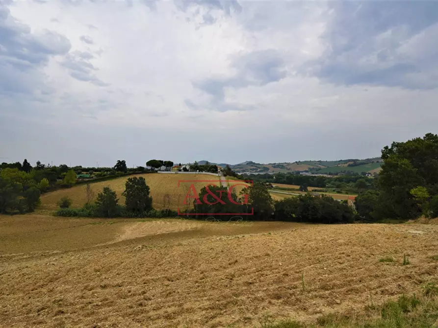 Immagine 15 di Rustico / casale in vendita  in Contrada Campiglione a Fermo