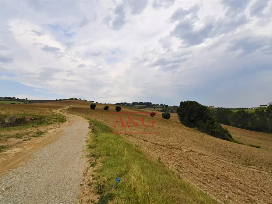 Immagine 16 di Rustico / casale in vendita  in Contrada Campiglione a Fermo