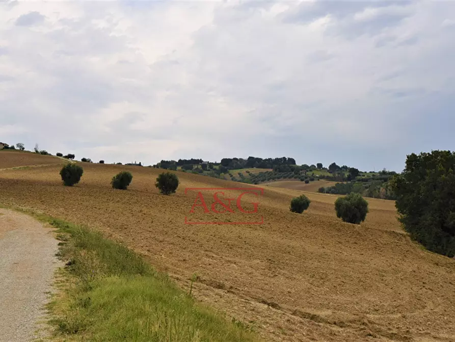 Immagine 17 di Rustico / casale in vendita  in Contrada Campiglione a Fermo