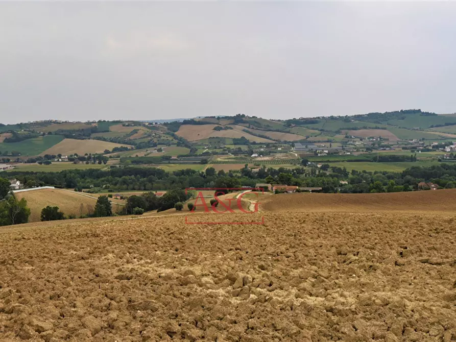 Immagine 21 di Rustico / casale in vendita  in Contrada Campiglione a Fermo