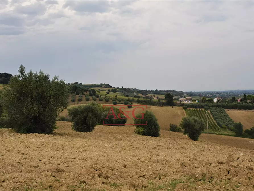 Immagine 23 di Rustico / casale in vendita  in Contrada Campiglione a Fermo