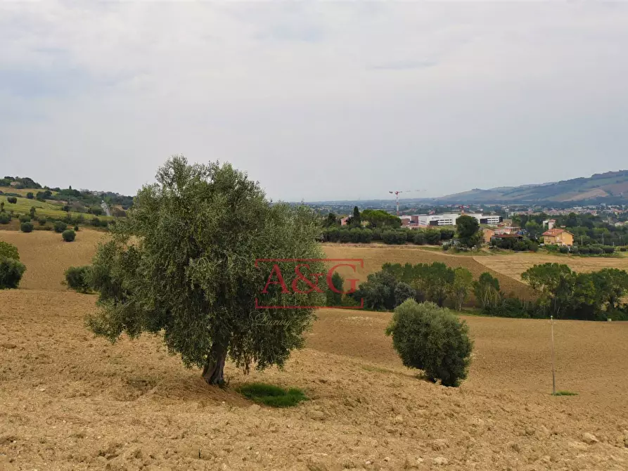 Immagine 24 di Rustico / casale in vendita  in Contrada Campiglione a Fermo