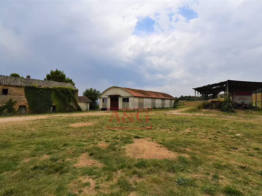 Immagine 3 di Rustico / casale in vendita  in Contrada Campiglione a Fermo