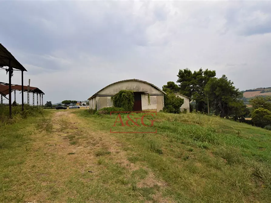 Immagine 6 di Rustico / casale in vendita  in Contrada Campiglione a Fermo