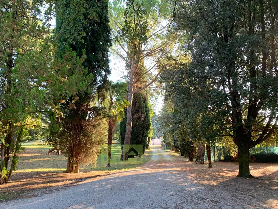 Immagine 24 di Villa in vendita  in CONTRADA VALLEMARINA a Monte Vidon Corrado