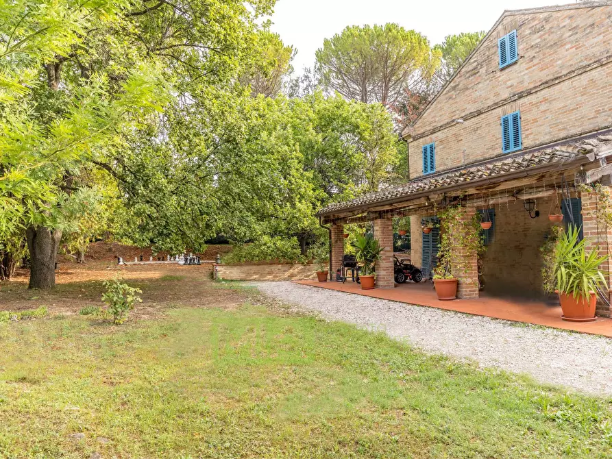 Immagine 9 di Villa in vendita  in CONTRADA VALLEMARINA a Monte Vidon Corrado