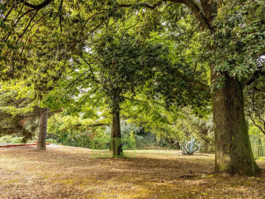 Immagine 23 di Villa in vendita  in CONTRADA VALLEMARINA a Monte Vidon Corrado